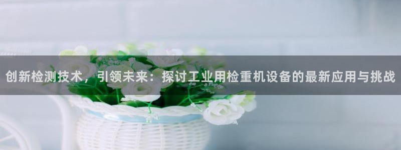 顺盈娱乐彩票官网：创新检测技术，引领未来：探讨工业用检重机设