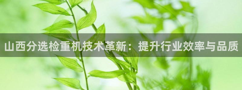 盈顺娱乐休闲室：山西分选检重机技术革新：提升行业效率与品质
