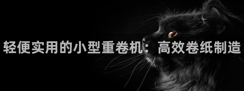 三水区顺盈棋牌娱乐：轻便实用的小型重卷机：高效卷纸制造