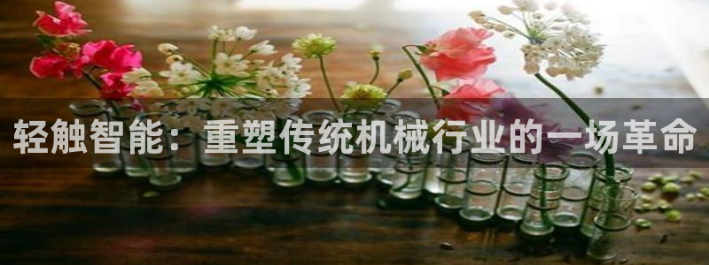 顺盈2娱乐彩票：轻触智能：重塑传统机械行业的一场革命