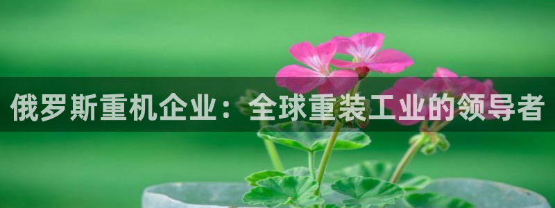 顺盈娱乐登录地址在哪：俄罗斯重机企业：全球重装工业的领导者