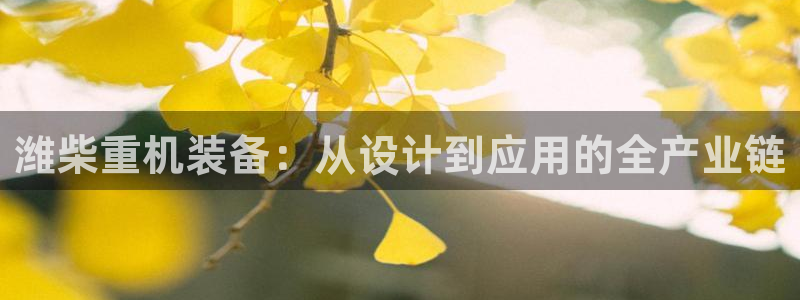 顺盈娱乐注册问一问：潍柴重机装备：从设计到应用的全产业链