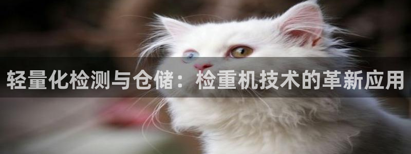 顺盈娱乐在线注册网址：轻量化检测与仓储：检重机技术的革新应用