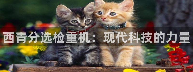 顺盈娱乐注册官网：西青分选检重机：现代科技的力量