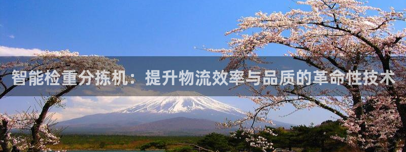 顺盈娱乐下载手机版