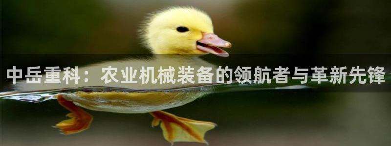 顺盈娱乐最高代理