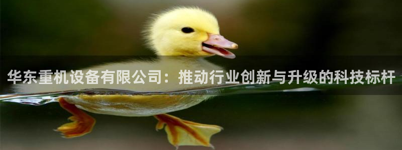 顺盈娱乐如拔7276O