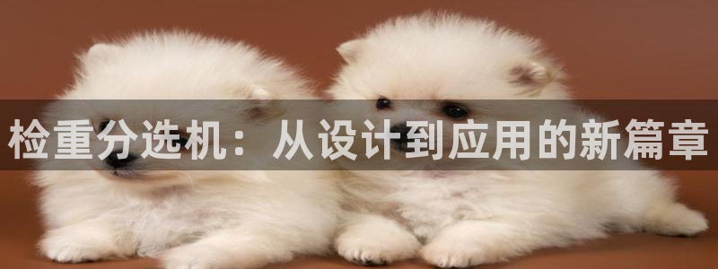 顺盈娱乐主管劳判官333OO