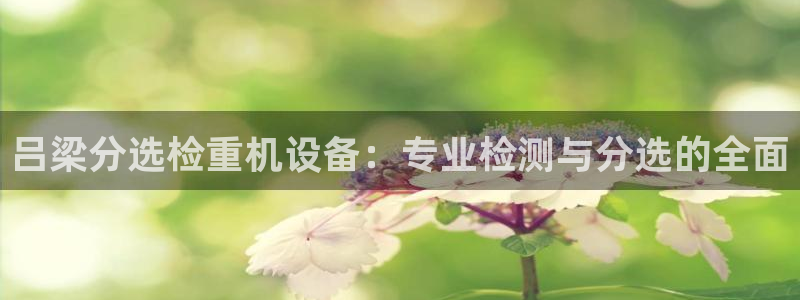 顺盈娱乐下载手机版官网