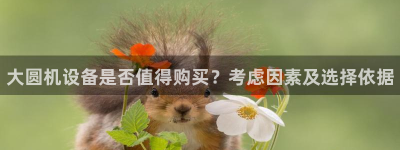 顺盈娱乐注册资金多少