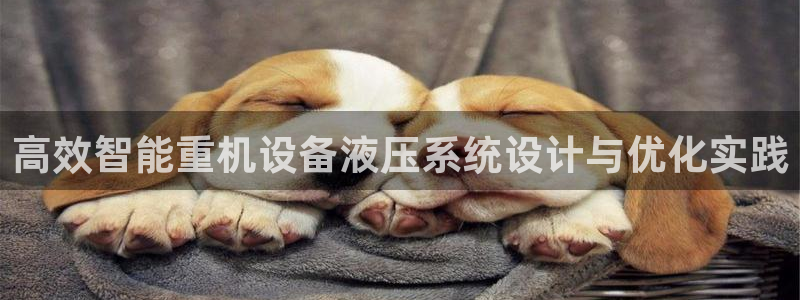 顺盈娱乐28是什么?