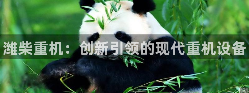 顺盈童欢娱乐有限公司：潍柴重机：创新引领的现代重机设备