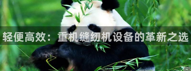 顺盈娱乐注册q779O3唐老鸭：轻便高效：重机缝纫机设备的革