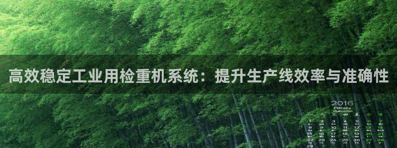 清远顺盈娱乐公司招聘吗：高效稳定工业用检重机系统：提升生产线