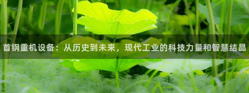 顺盈娱乐招商助判官333OO：首钢重机设备：从历史到未来，现