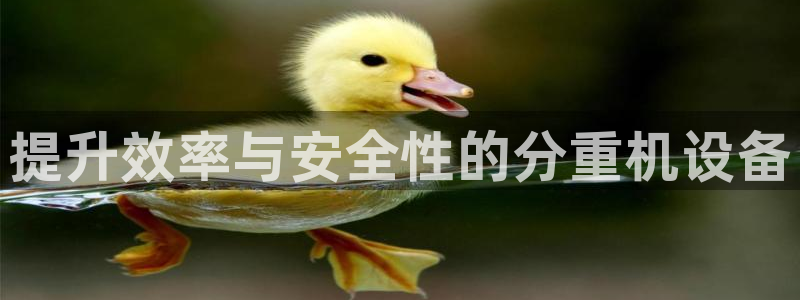 顺盈娱乐最高代理