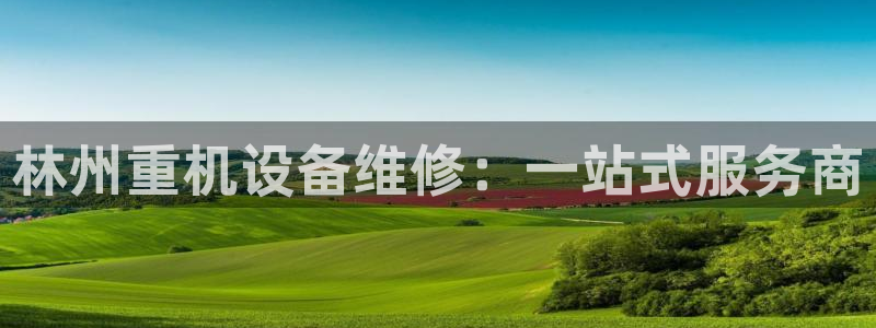 顺盈娱乐主管杂判官333OO