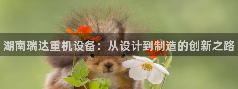 乐摇摇娱乐团购顺盈