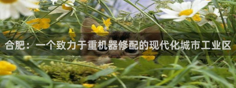 顺盈娱乐语7O777