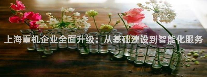 顺盈娱乐注册求判官333OO